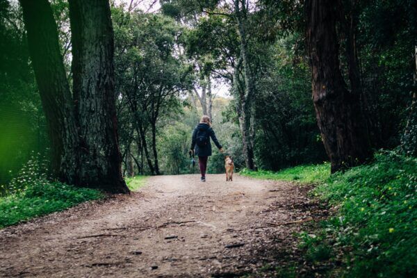 femme avec son chien en forêt