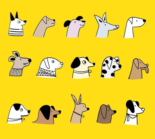 Les 7 groupes de races de chiens et leurs particularités