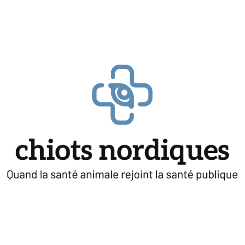 Chiots nordiques quand la santé animale rejoint la santé publique