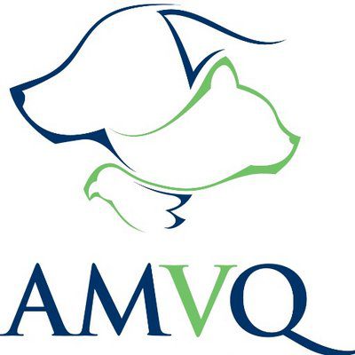 AMVQ
