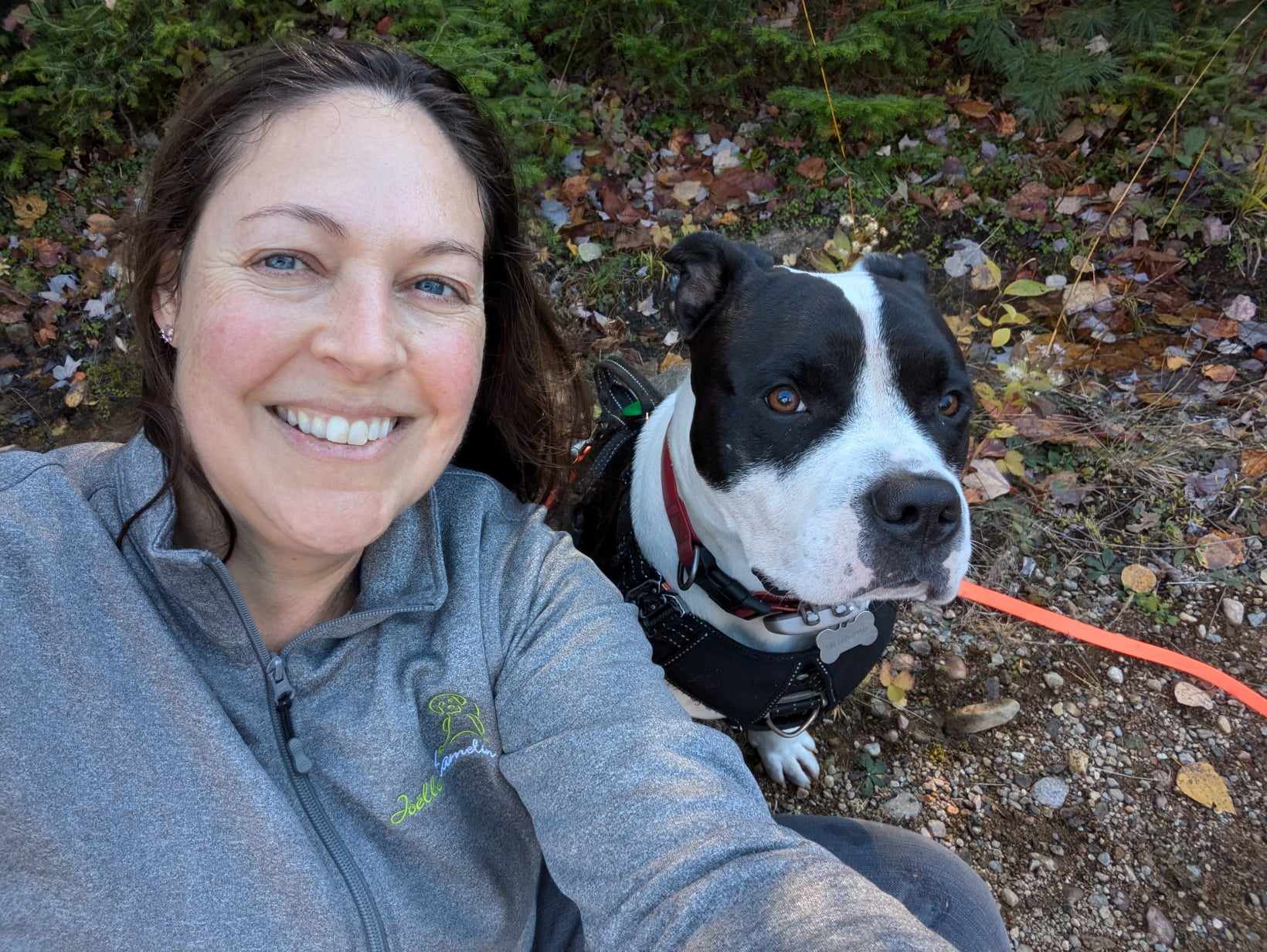 femme et son pittbull en randonnée