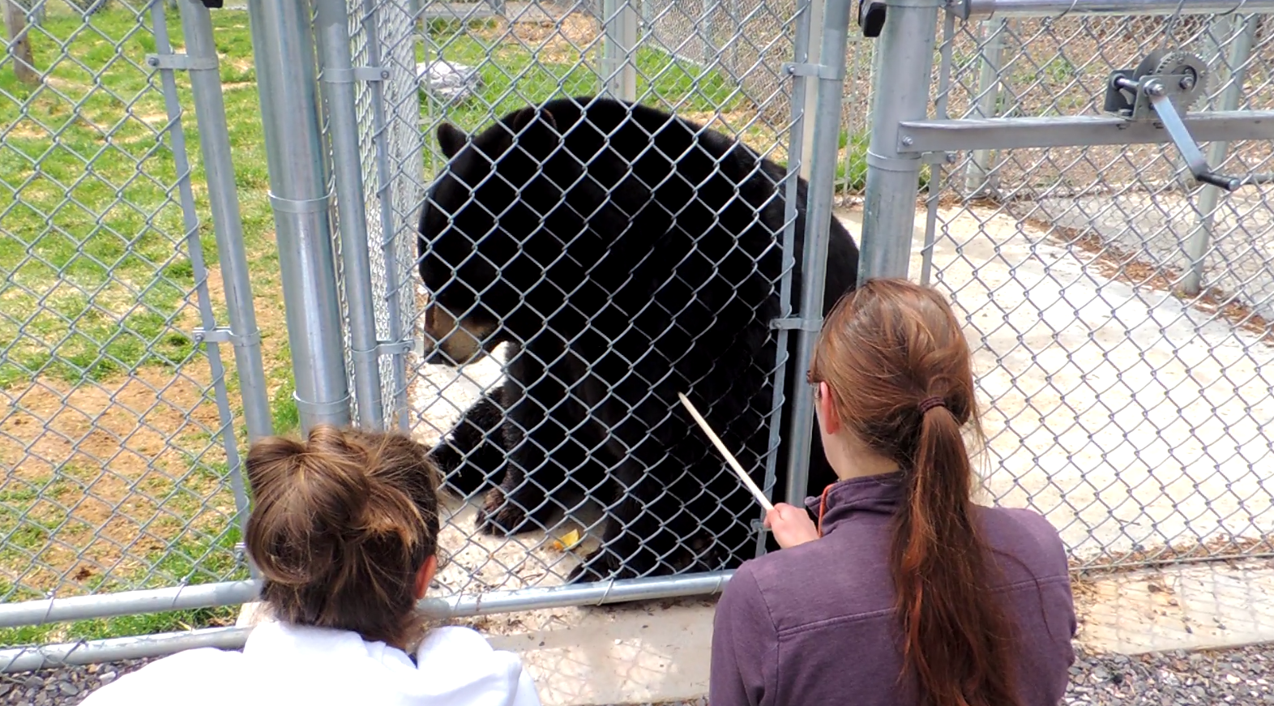 Avancé: L’entraînement par façonnage pour les soins biomédicaux
