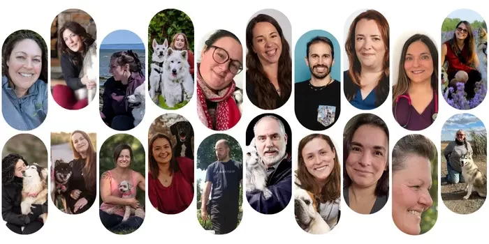 spécialistes en éducation canine et en santé animale