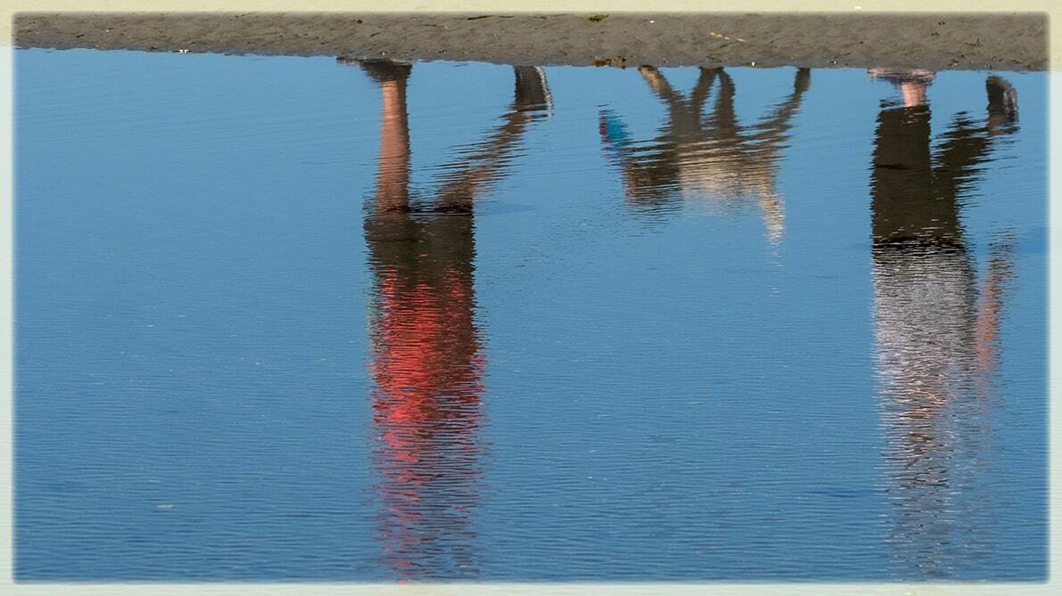 Randonnée avec un chien