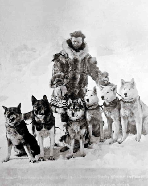 Musher Lonhard Seppala et chiens de traîneau