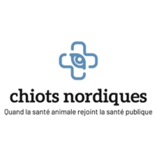 Chiots nordiques