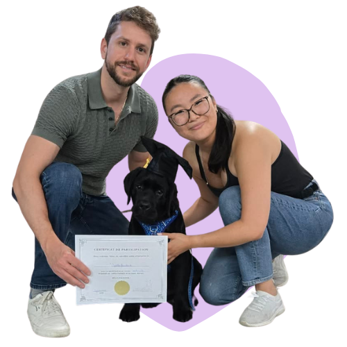 Cours de maternelle pour chiots