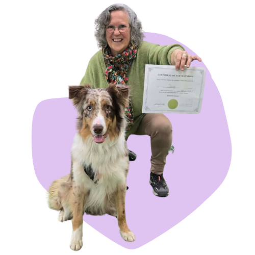 Cours d'obéissance pour chiens