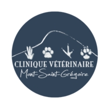 Clinique vétérinaire Mont-Saint-Grégoire