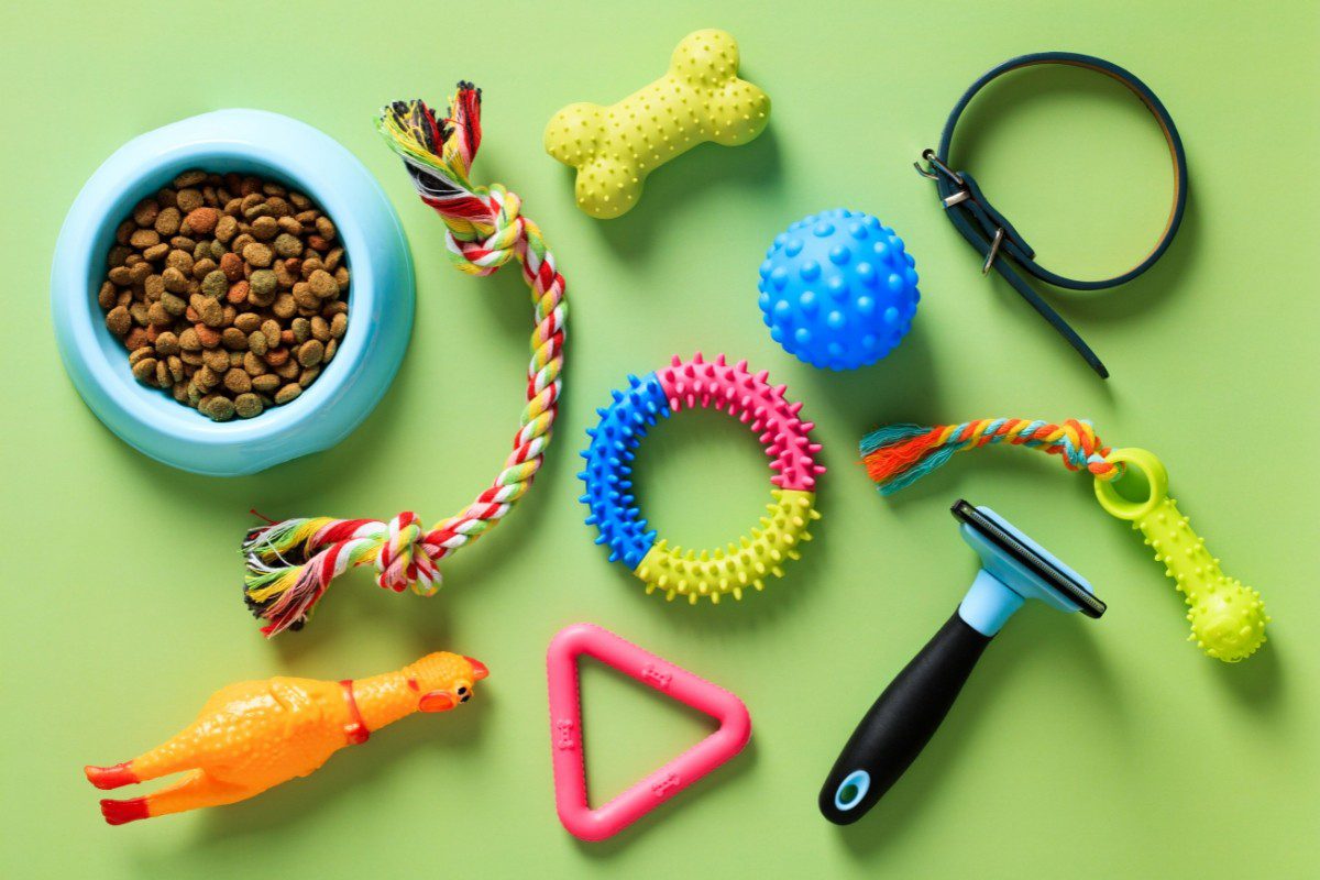 Articles pour chiens divers sur fond vert